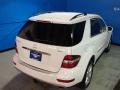 Arctic White - ML 350 4Matic Photo No. 24