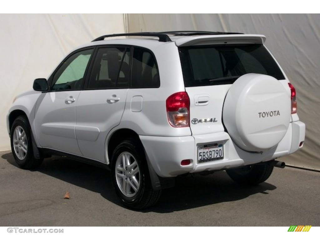 2003 RAV4  - Natural White / Gray photo #2