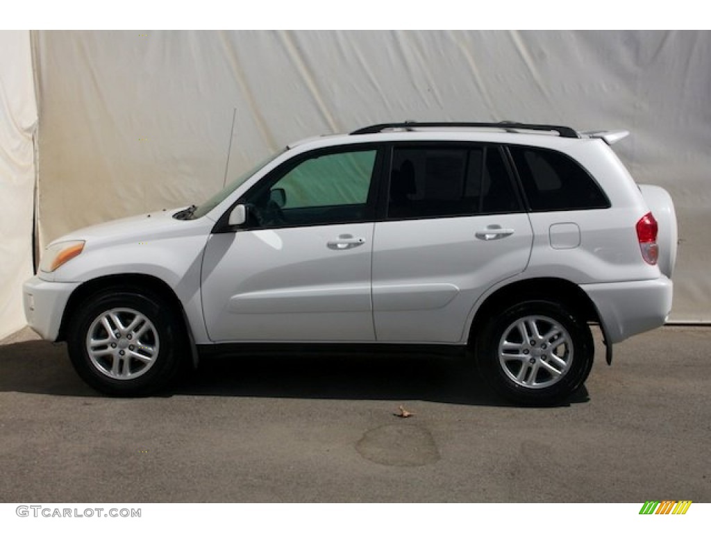 2003 RAV4  - Natural White / Gray photo #9