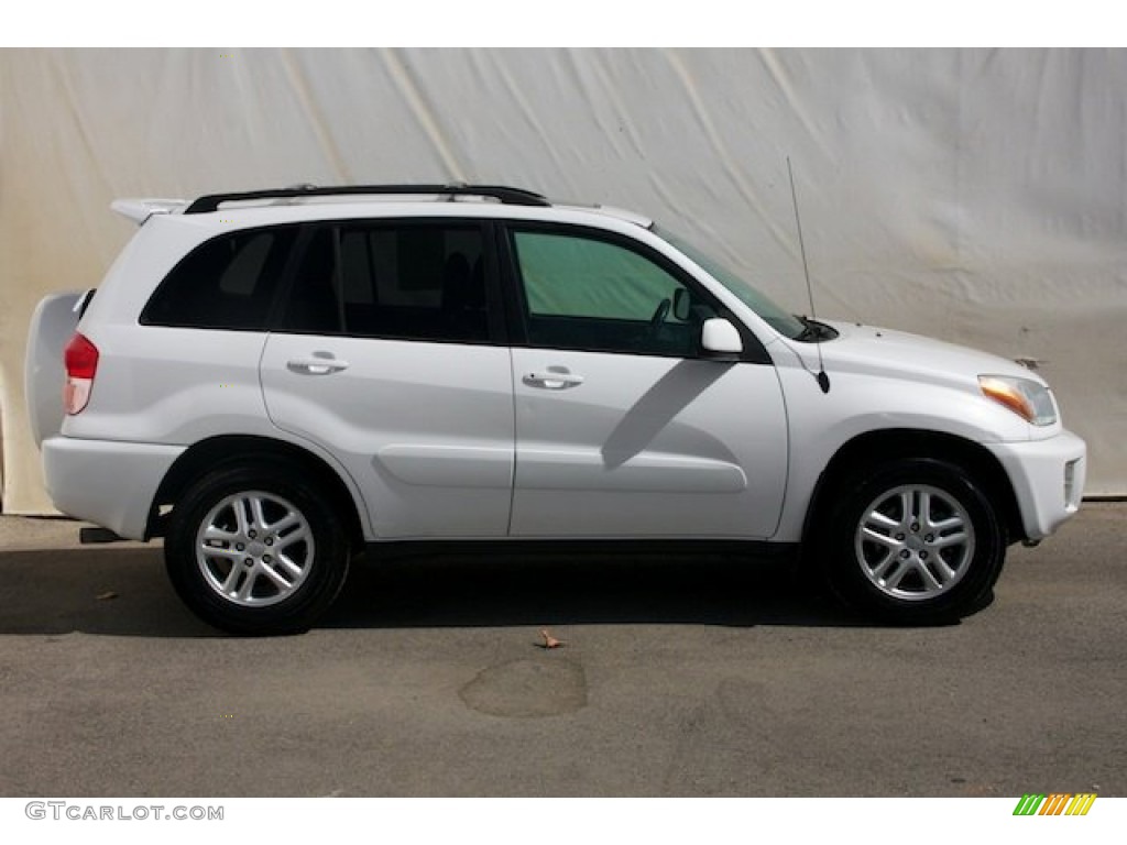 2003 RAV4  - Natural White / Gray photo #11