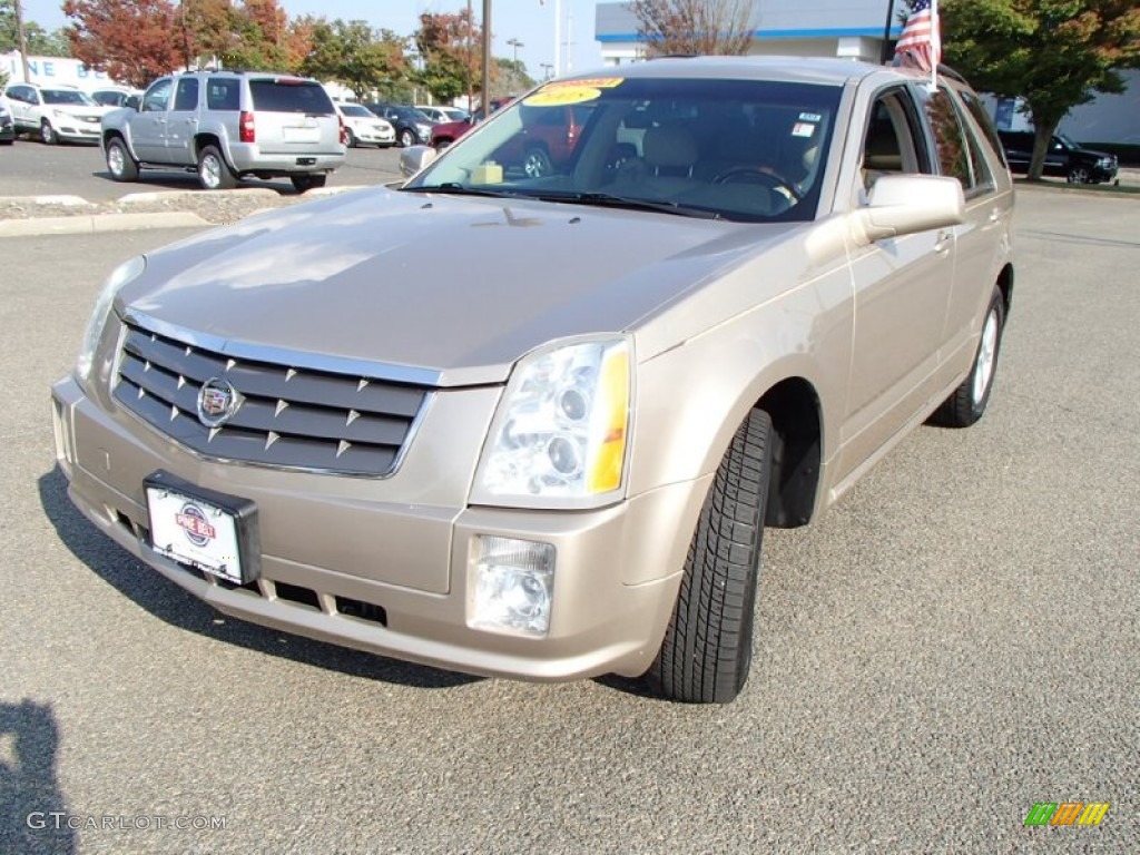 2005 Sand Storm Cadillac Srx V6 86450494 Photo 9