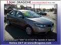 2010 Bronze Kia Forte EX  photo #3