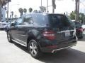 Black - ML 350 Photo No. 4