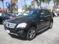 Black - ML 350 Photo No. 5