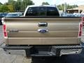 2013 Pale Adobe Metallic Ford F150 XLT SuperCrew 4x4  photo #3