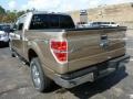 2013 Pale Adobe Metallic Ford F150 XLT SuperCrew 4x4  photo #4