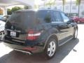 Black - ML 350 Photo No. 2