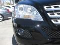 Black - ML 350 Photo No. 23