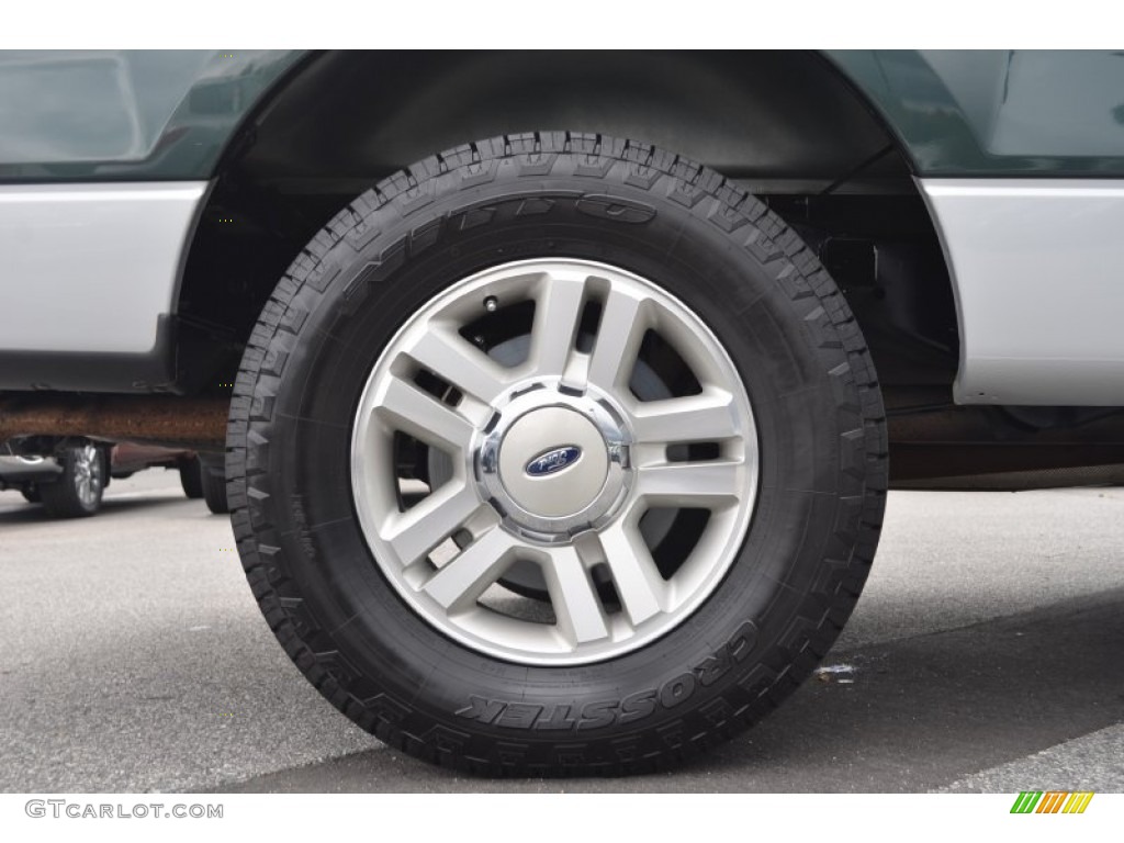 2005 F150 XLT SuperCab - Aspen Green Metallic / Medium Flint Grey photo #13