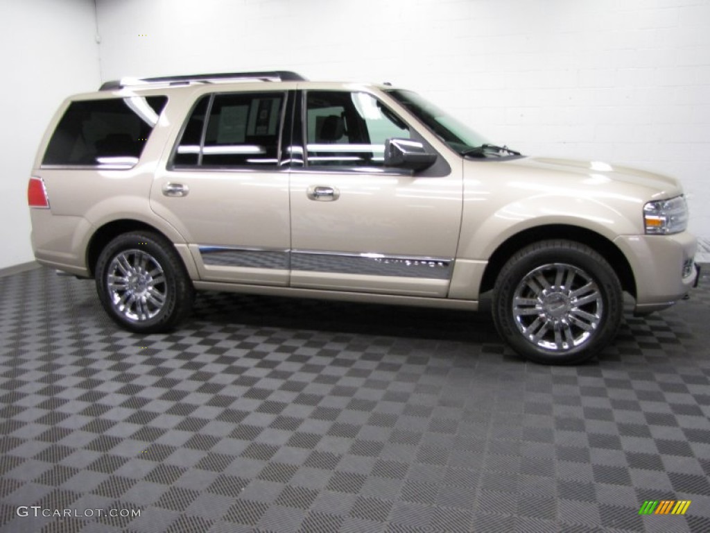 2007 Navigator Ultimate 4x4 - Light French Silk Metallic / Charcoal photo #3