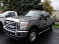 2014 Sterling Gray Metallic Ford F250 Super Duty XLT Crew Cab 4x4  photo #1