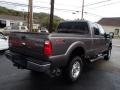 2014 Sterling Gray Metallic Ford F250 Super Duty XLT Crew Cab 4x4  photo #5