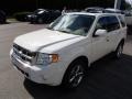 2010 White Suede Ford Escape Limited V6 4WD  photo #4