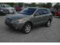 2008 Natural Khaki Green Hyundai Santa Fe Limited 4WD  photo #1