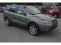 2008 Natural Khaki Green Hyundai Santa Fe Limited 4WD  photo #22