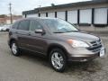 2010 Urban Titanium Metallic Honda CR-V EX-L AWD  photo #1