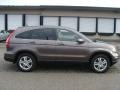 2010 Urban Titanium Metallic Honda CR-V EX-L AWD  photo #3