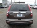 2010 Urban Titanium Metallic Honda CR-V EX-L AWD  photo #5