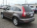 2010 Urban Titanium Metallic Honda CR-V EX-L AWD  photo #6