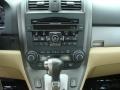 2010 Urban Titanium Metallic Honda CR-V EX-L AWD  photo #12