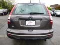 2010 Urban Titanium Metallic Honda CR-V LX AWD  photo #4