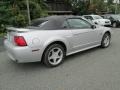 2001 Silver Metallic Ford Mustang GT Convertible  photo #6