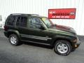Jeep Green Metallic - Liberty Sport 4x4 Photo No. 2