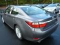 Nebula Gray Pearl - ES 350 Photo No. 2