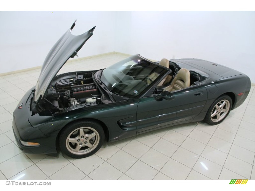 2000 Corvette Convertible - Dark Bowling Green Metallic / Light Oak photo #19