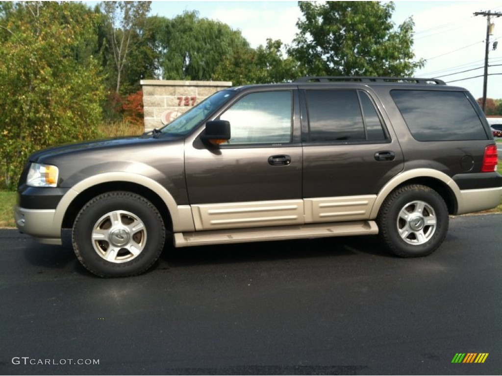 2006 Expedition Eddie Bauer 4x4 - Dark Stone Metallic / Medium Parchment photo #1