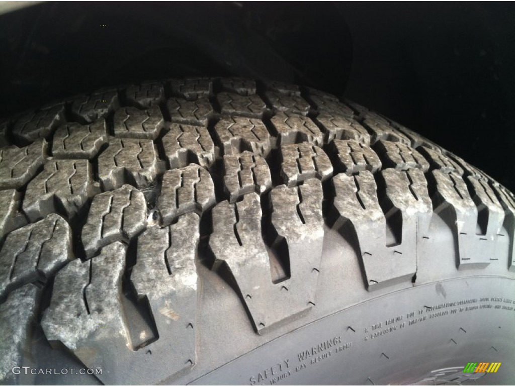 2006 Expedition Eddie Bauer 4x4 - Dark Stone Metallic / Medium Parchment photo #2