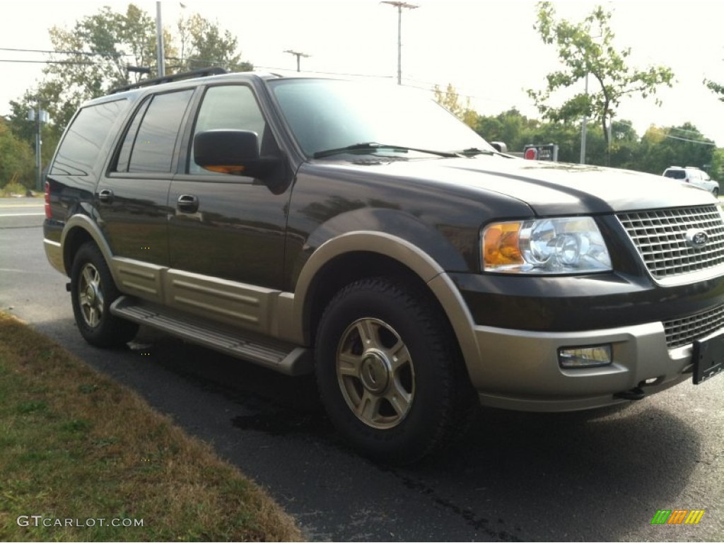 2006 Expedition Eddie Bauer 4x4 - Dark Stone Metallic / Medium Parchment photo #4