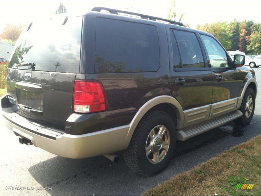 2006 Expedition Eddie Bauer 4x4 - Dark Stone Metallic / Medium Parchment photo #5