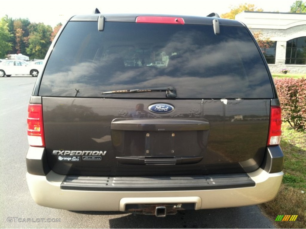 2006 Expedition Eddie Bauer 4x4 - Dark Stone Metallic / Medium Parchment photo #6