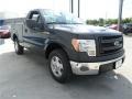 Tuxedo Black Metallic - F150 XL Regular Cab Photo No. 7