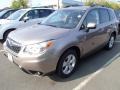 2014 Burnished Bronze Metallic Subaru Forester 2.5i Limited  photo #1