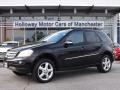 Black - ML 350 4Matic Photo No. 1