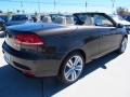 Black Oak Brown Metallic - Eos Executive Photo No. 9