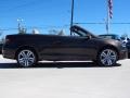 Black Oak Brown Metallic - Eos Executive Photo No. 10