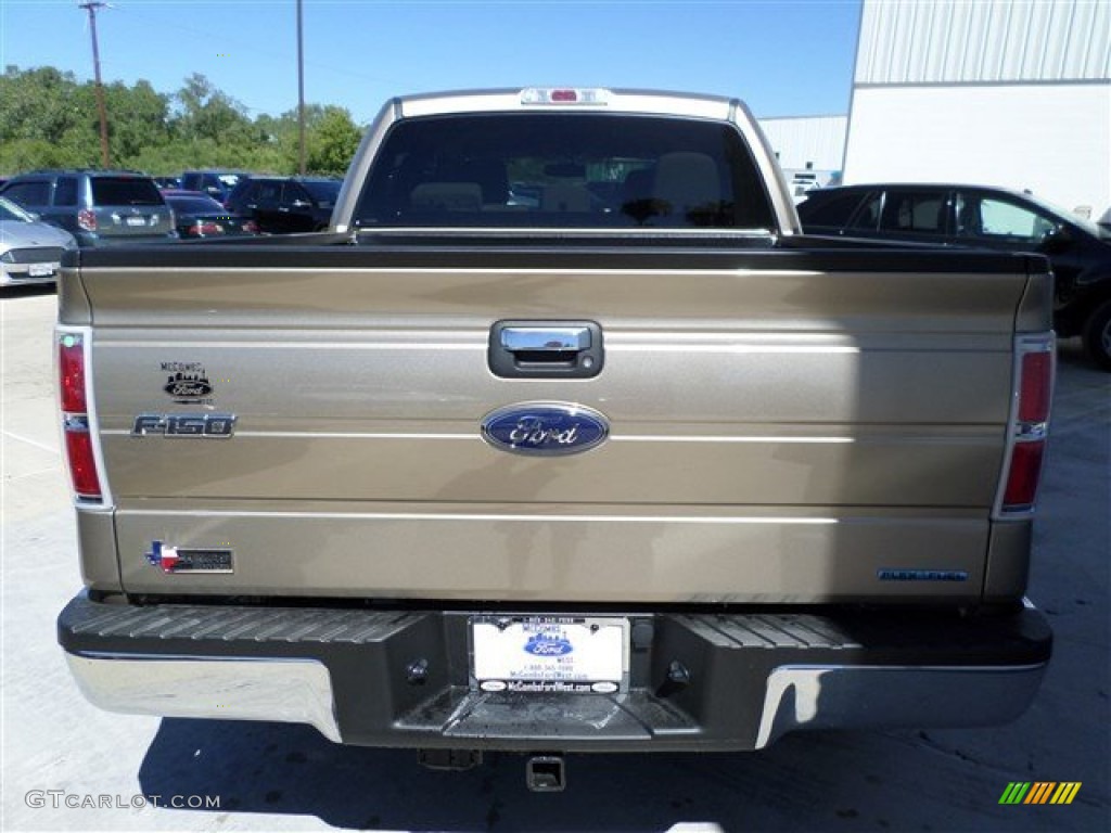 2013 F150 XLT SuperCrew - Pale Adobe Metallic / Adobe photo #4