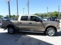 2013 Pale Adobe Metallic Ford F150 XLT SuperCrew  photo #6