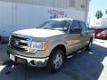 2013 Pale Adobe Metallic Ford F150 XLT SuperCrew  photo #1