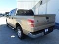 2013 Pale Adobe Metallic Ford F150 XLT SuperCrew  photo #3