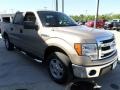 2013 Pale Adobe Metallic Ford F150 XLT SuperCrew  photo #6