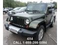 Jeep Green Metallic - Wrangler Sahara 4x4 Photo No. 1