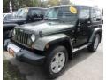 Jeep Green Metallic - Wrangler Sahara 4x4 Photo No. 2