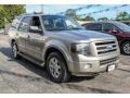 Vapor Silver Metallic - Expedition Limited 4x4 Photo No. 6