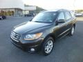 Espresso Brown - Santa Fe Limited AWD Photo No. 3