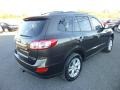 Espresso Brown - Santa Fe Limited AWD Photo No. 6