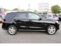 Black - ML 350 4Matic Photo No. 2